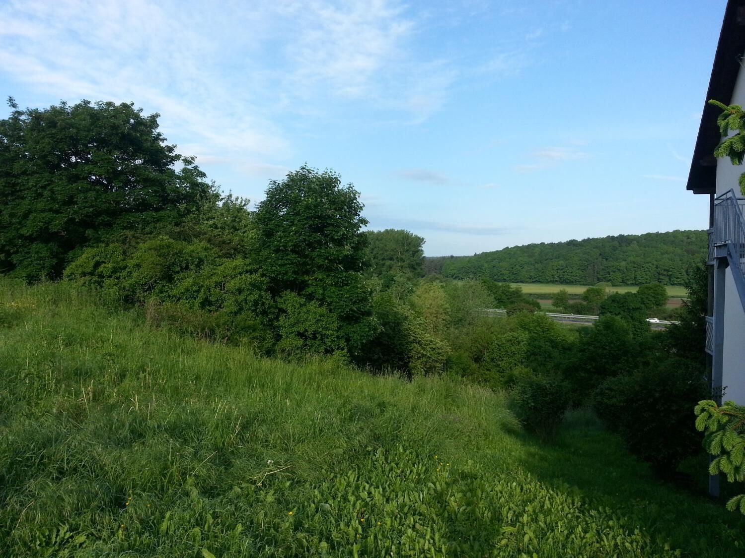 Paisagem rural com uma casa e vegetação densa.
