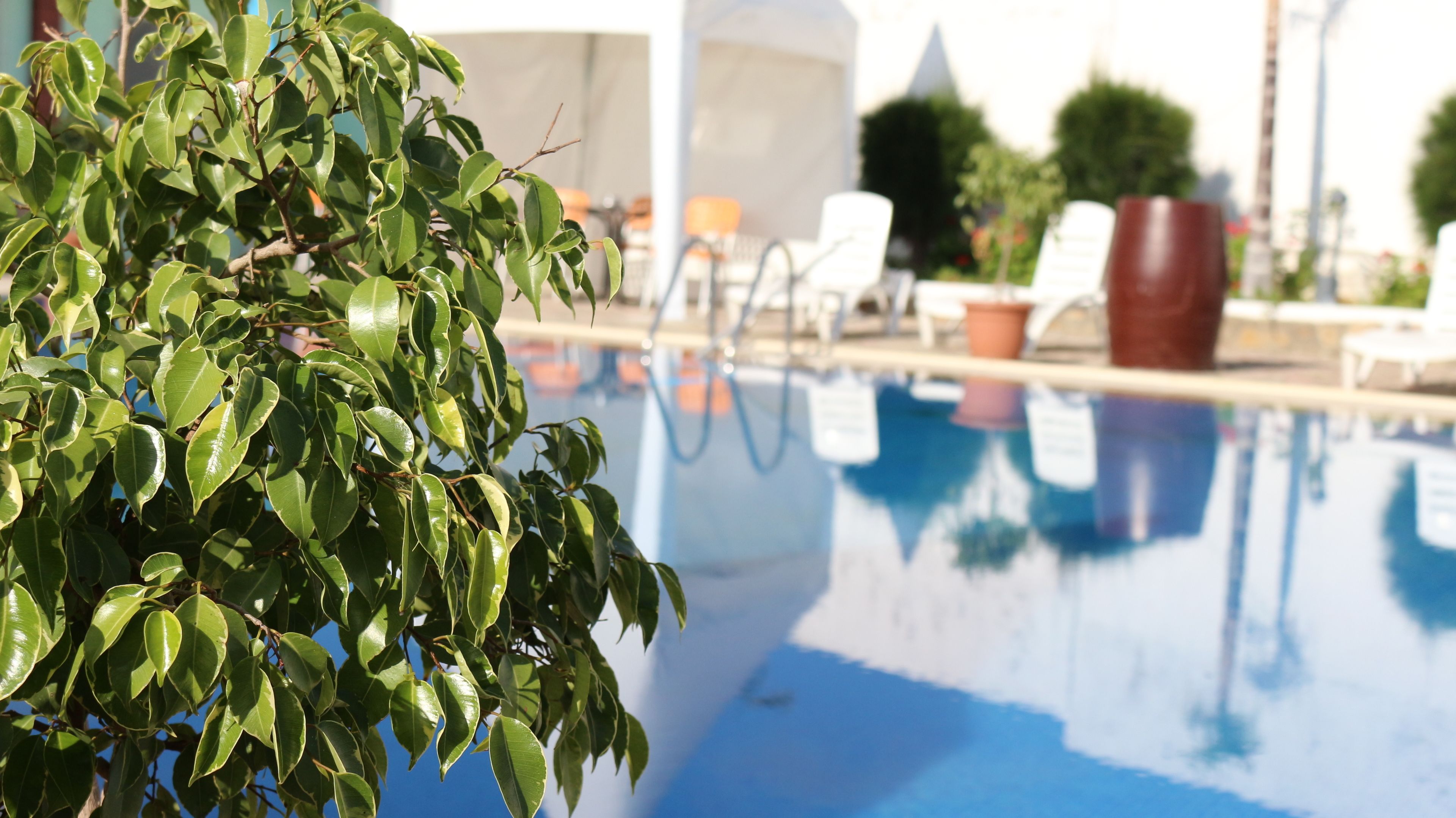 Foto - ONOMO Hotel Tanger Med