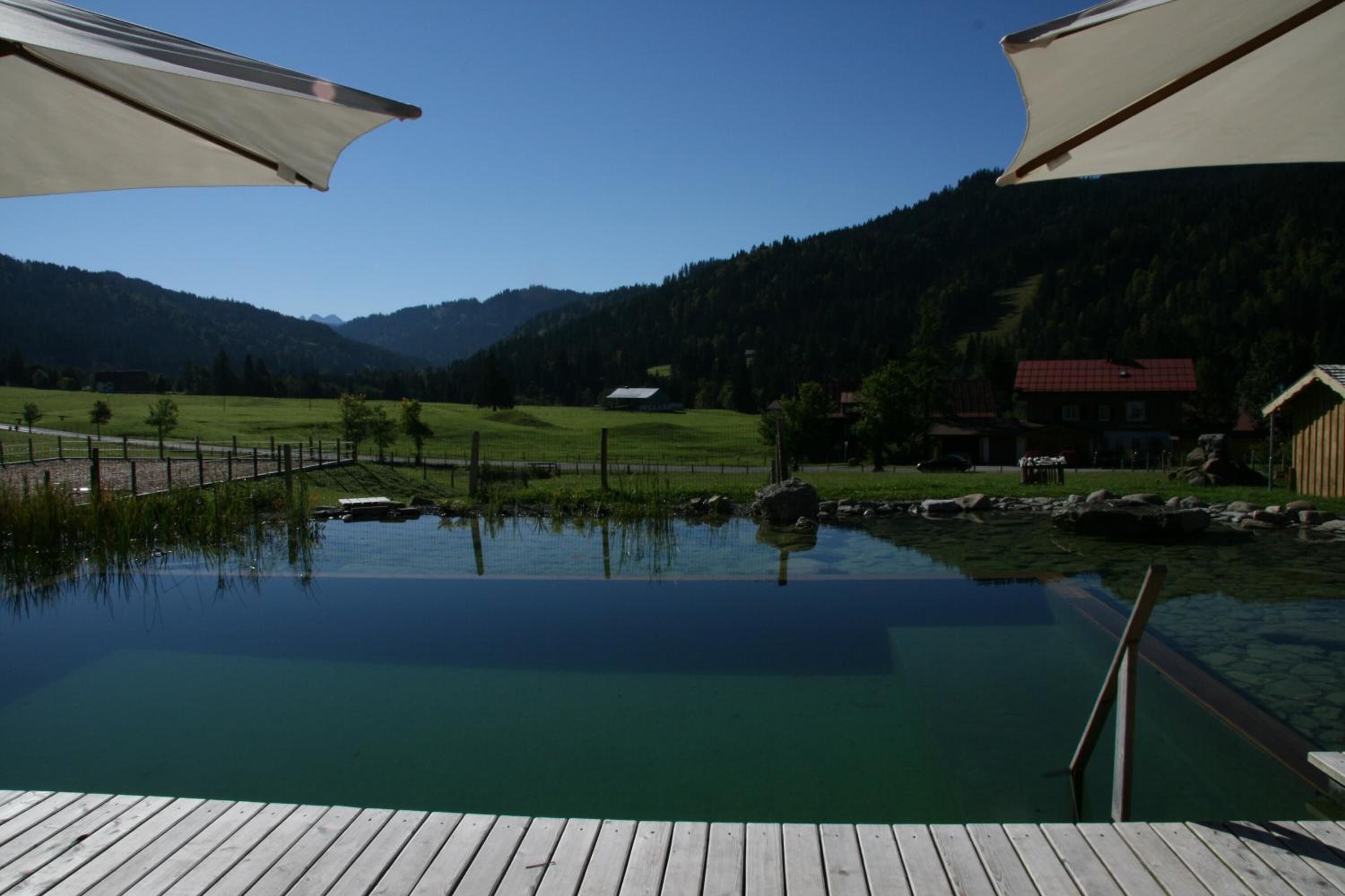 Seasonal outdoor pool, a natural pool, pool loungers