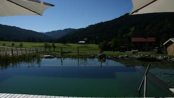 Seasonal outdoor pool, a natural pool, pool loungers