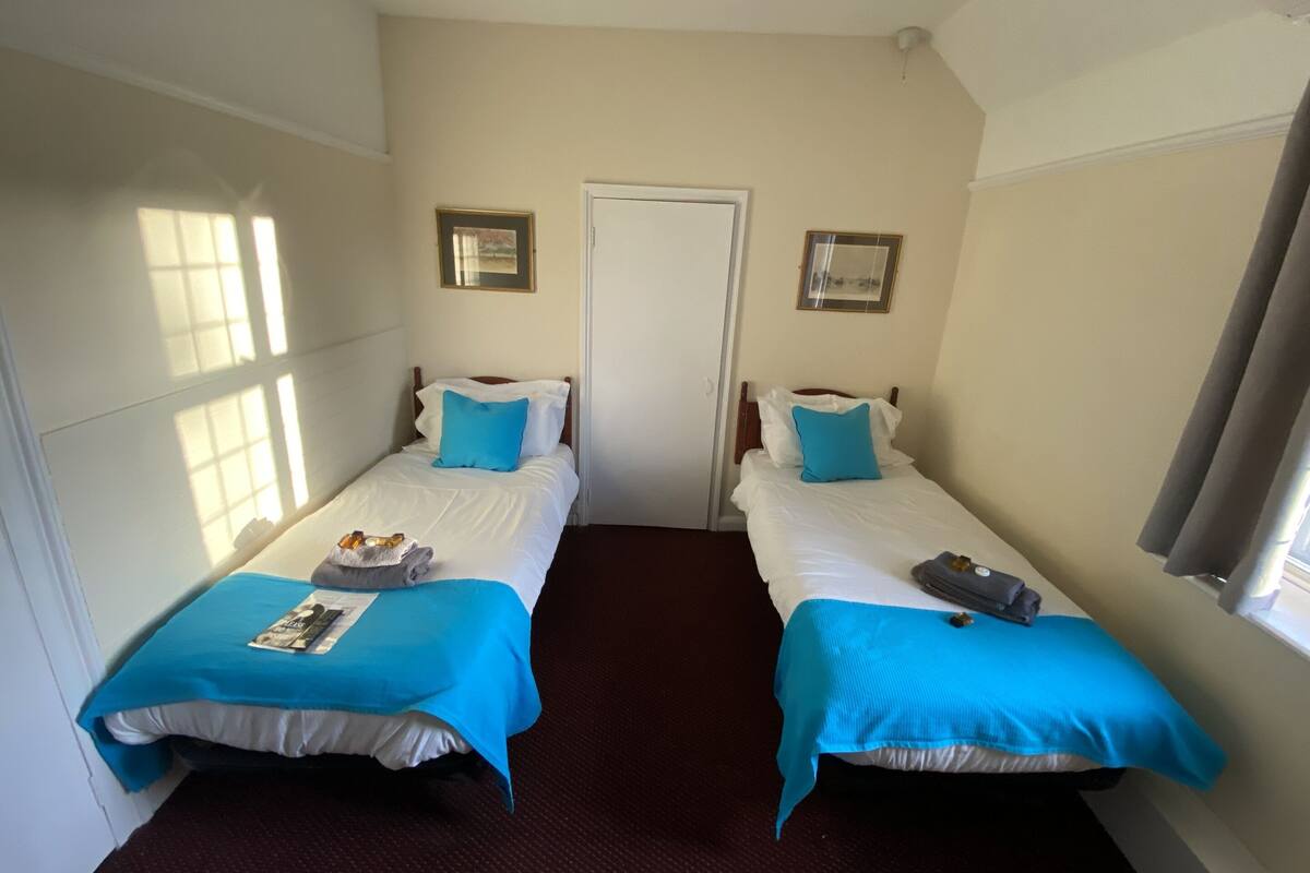 Habitación de hotel con dos camas individuales, cada una con cubrecama y almohada azules, una puerta blanca y un cuadro en la pared.