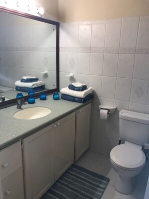 A bathroom with a sink, mirror, toilet, and a towel rack.