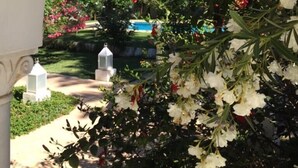 Un jardin agrémenté d’un belvédère blanc, d’une végétation luxuriante et de plantes en fleurs.