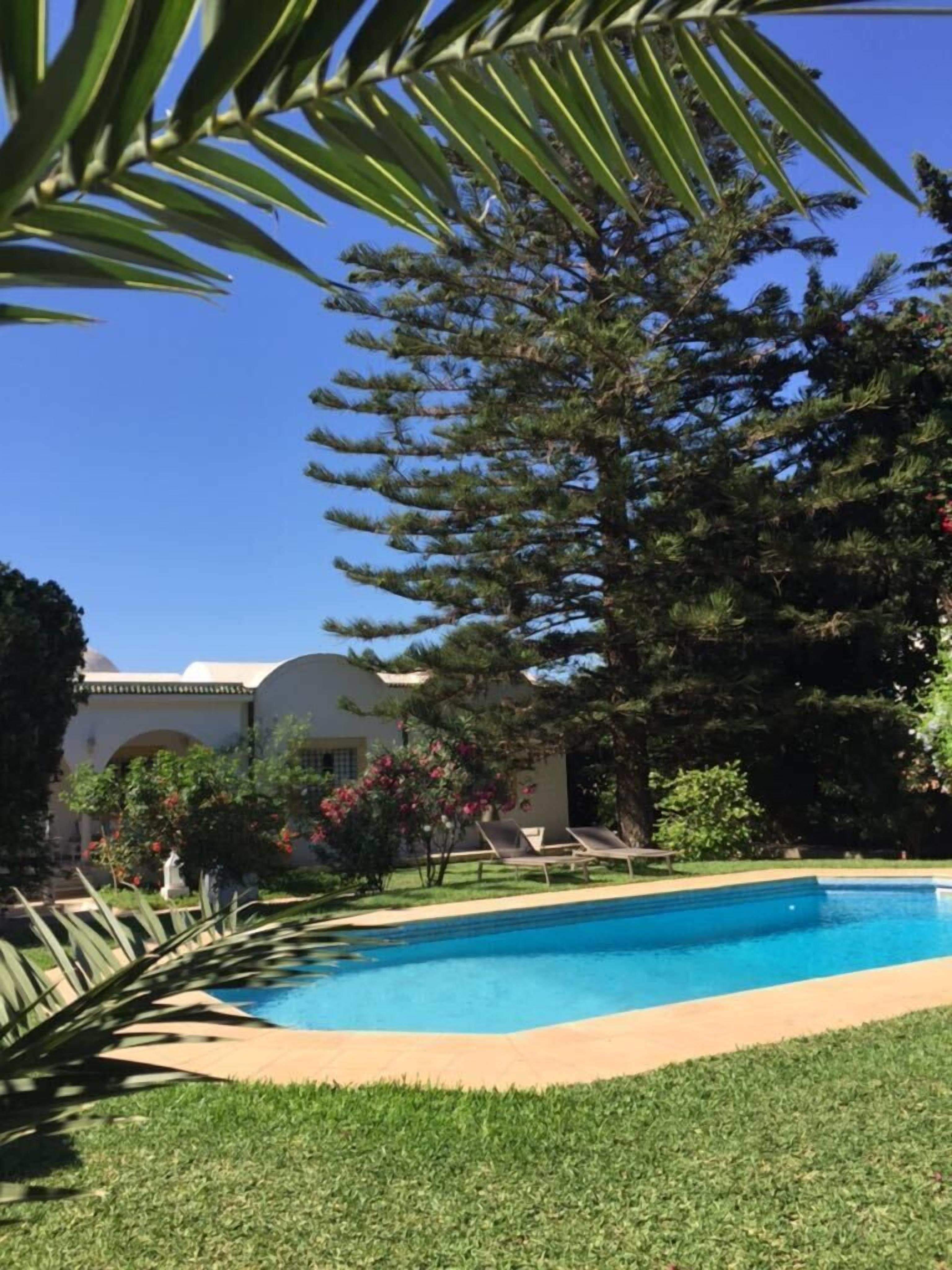 Outdoor pool, sun loungers