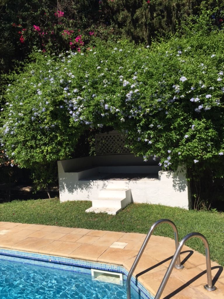 A swimming pool with a tiled edge, a concrete bench, and a metal ladder.