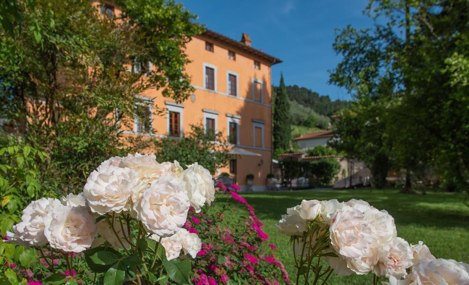 Un edificio con jardín delantero, con flores blancas y follaje verde.