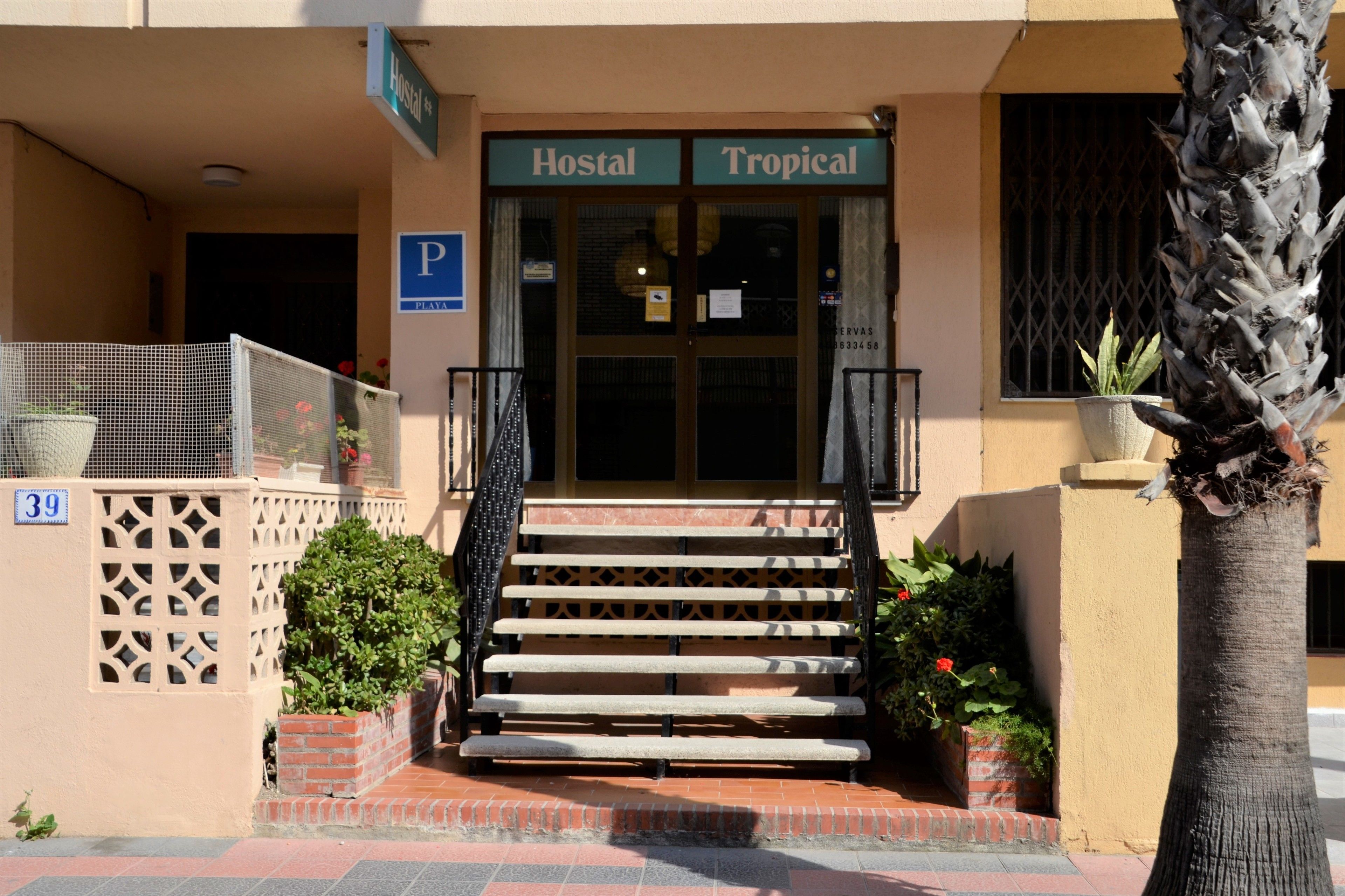 Foto - Hostal Tropical