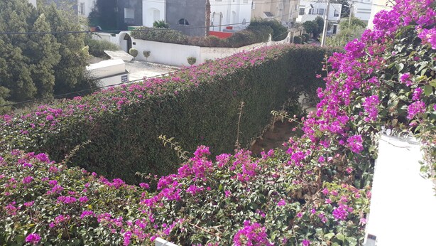 Unclassified image, 1 of 16, button - Cosy Flat In la Marsa (La Marsa)