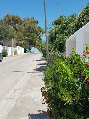Vista frontal de la propiedad