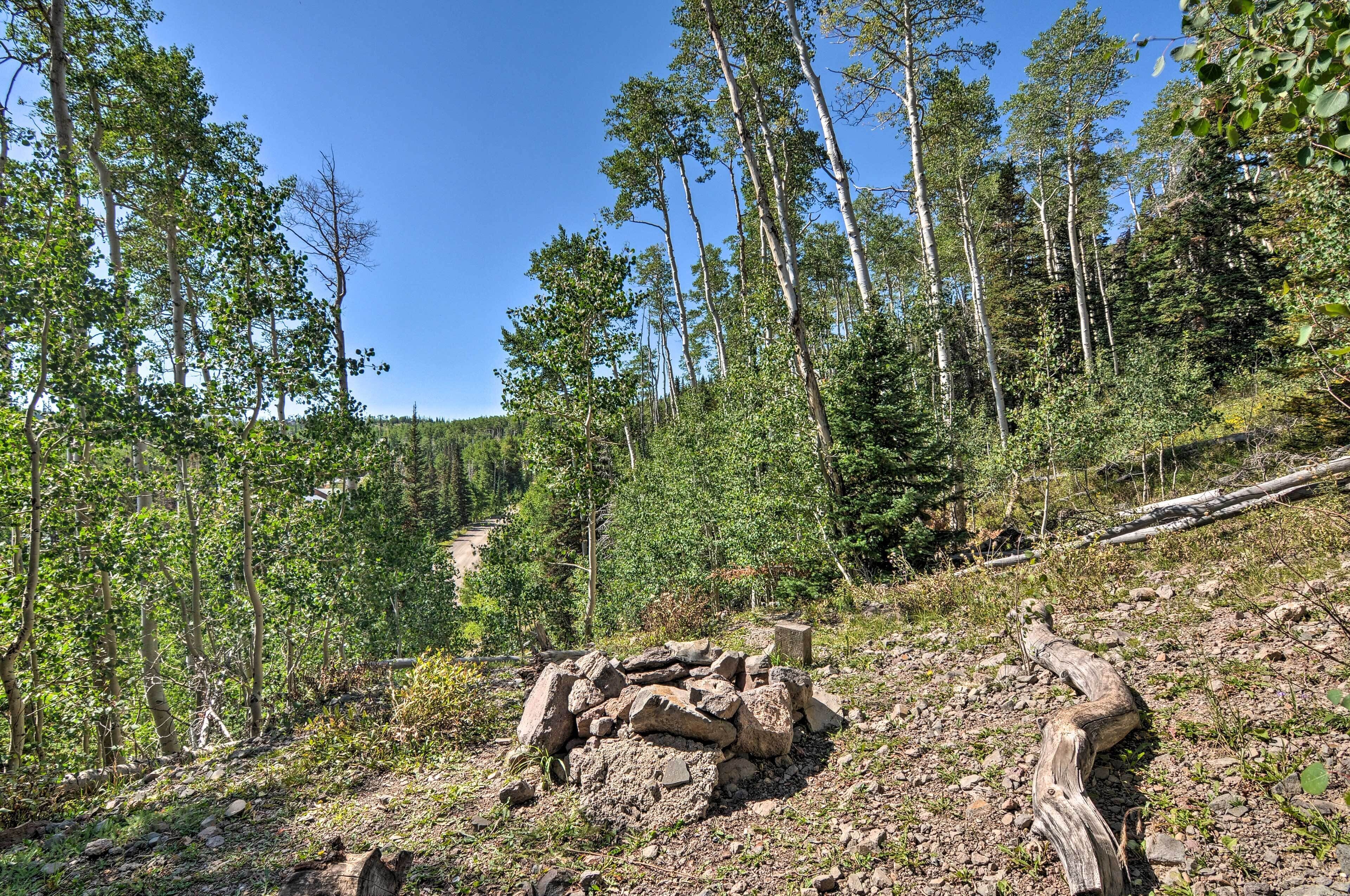 Ett skogsområde med en hög av stenar och en nedfallen trädstam.