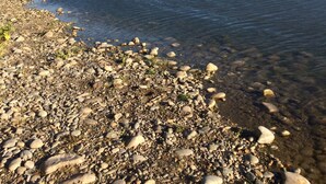 A riverbank with clear water, pebbles, and distant hills. - Vacation home in Luberon in the heart of Provence WIFI Free Fiber (Lauris)