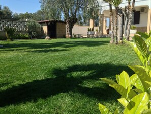 A well-maintained grassy area with a small structure, possibly a shed, and palm trees. - B&B MiMì (Porto Cesareo)
