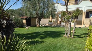 Un jardín bien cuidado con césped, palmeras y un muro de piedra.