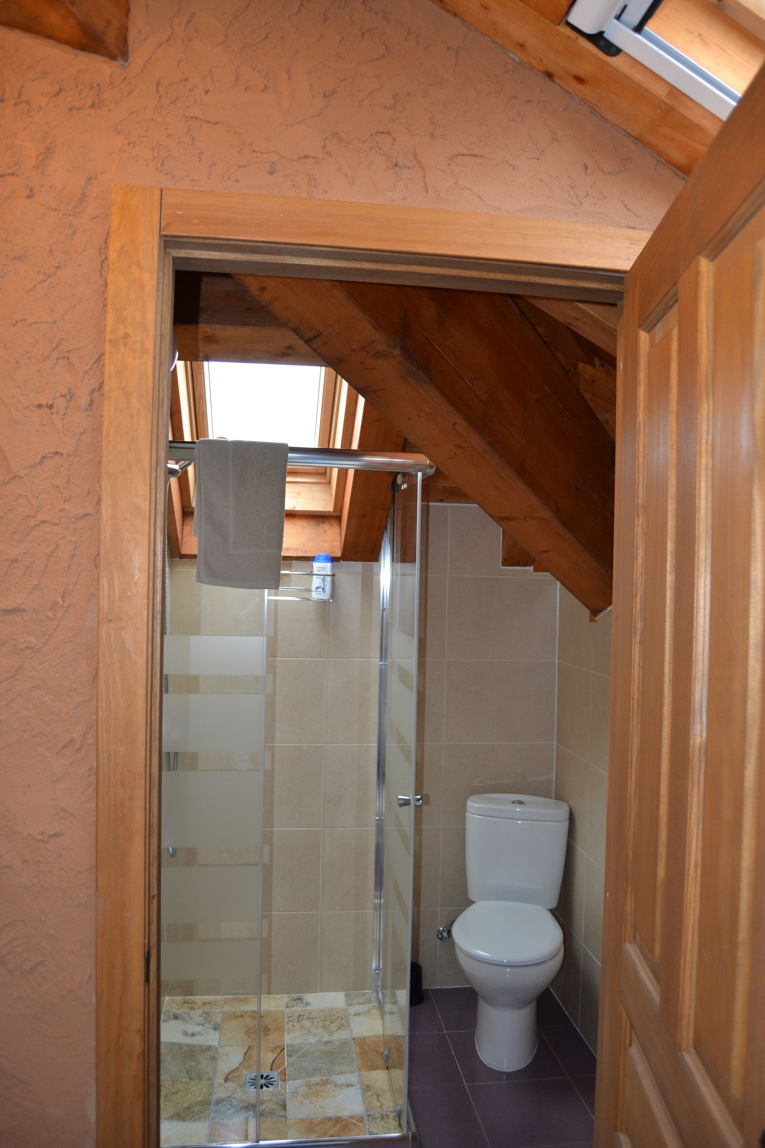 Un baño pequeño con cabina de ducha de vidrio, inodoro y techo de madera.