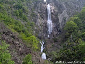 A waterfall cascading down a rocky cliff surrounded by dense greenery.