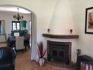TV, fireplace, video games, ping pong
