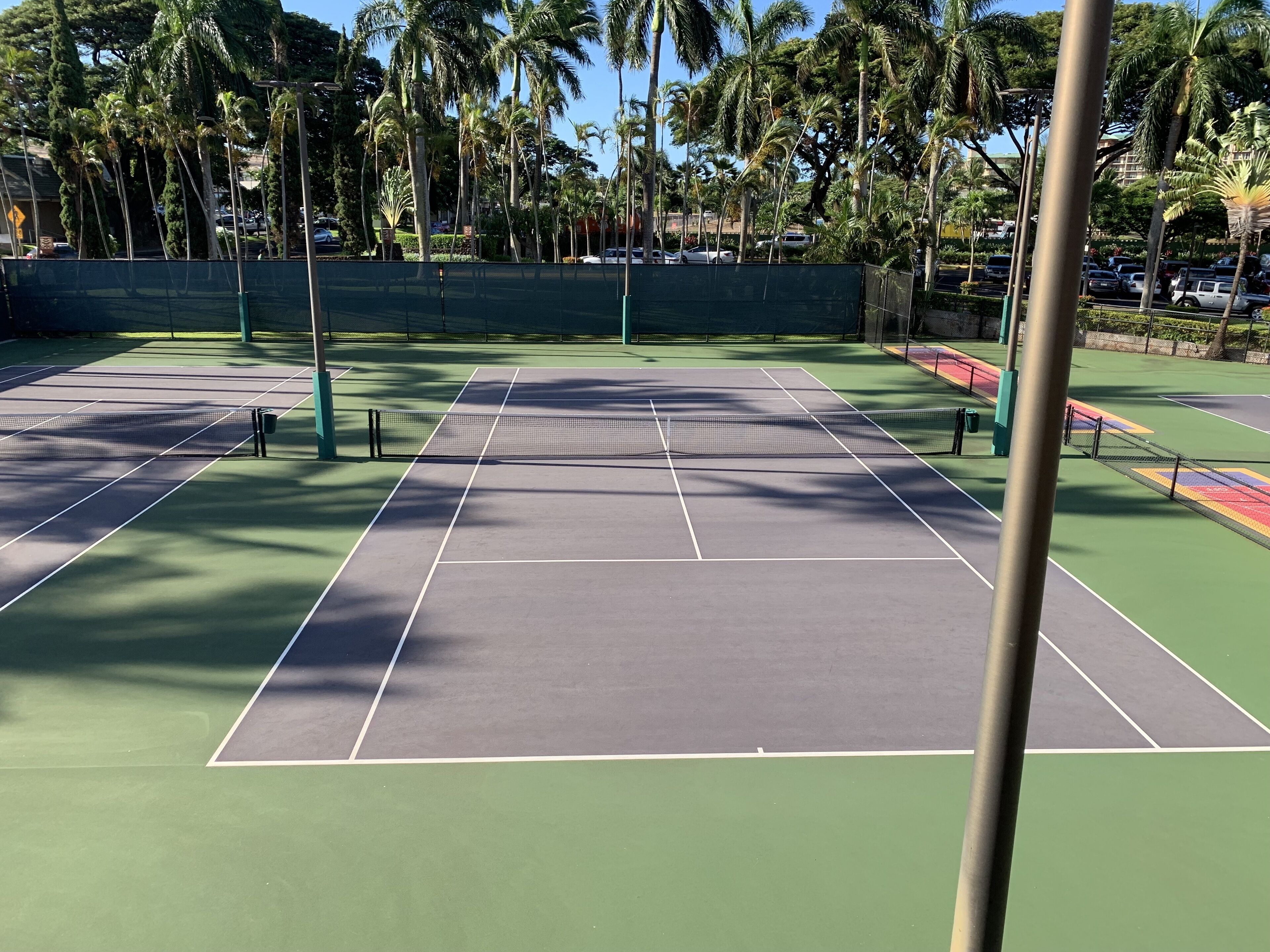An outdoor tennis court with multiple courts, surrounded by palm trees and a fence.