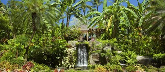 AEI at Kaanapali Shores