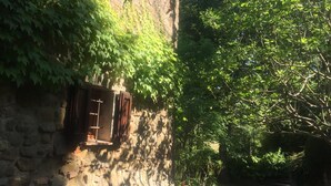 Un bâtiment en pierre aux murs recouverts de lierre et aux volets en bois, entouré d’une végétation luxuriante et surplombé d’un ciel bleu azur.
