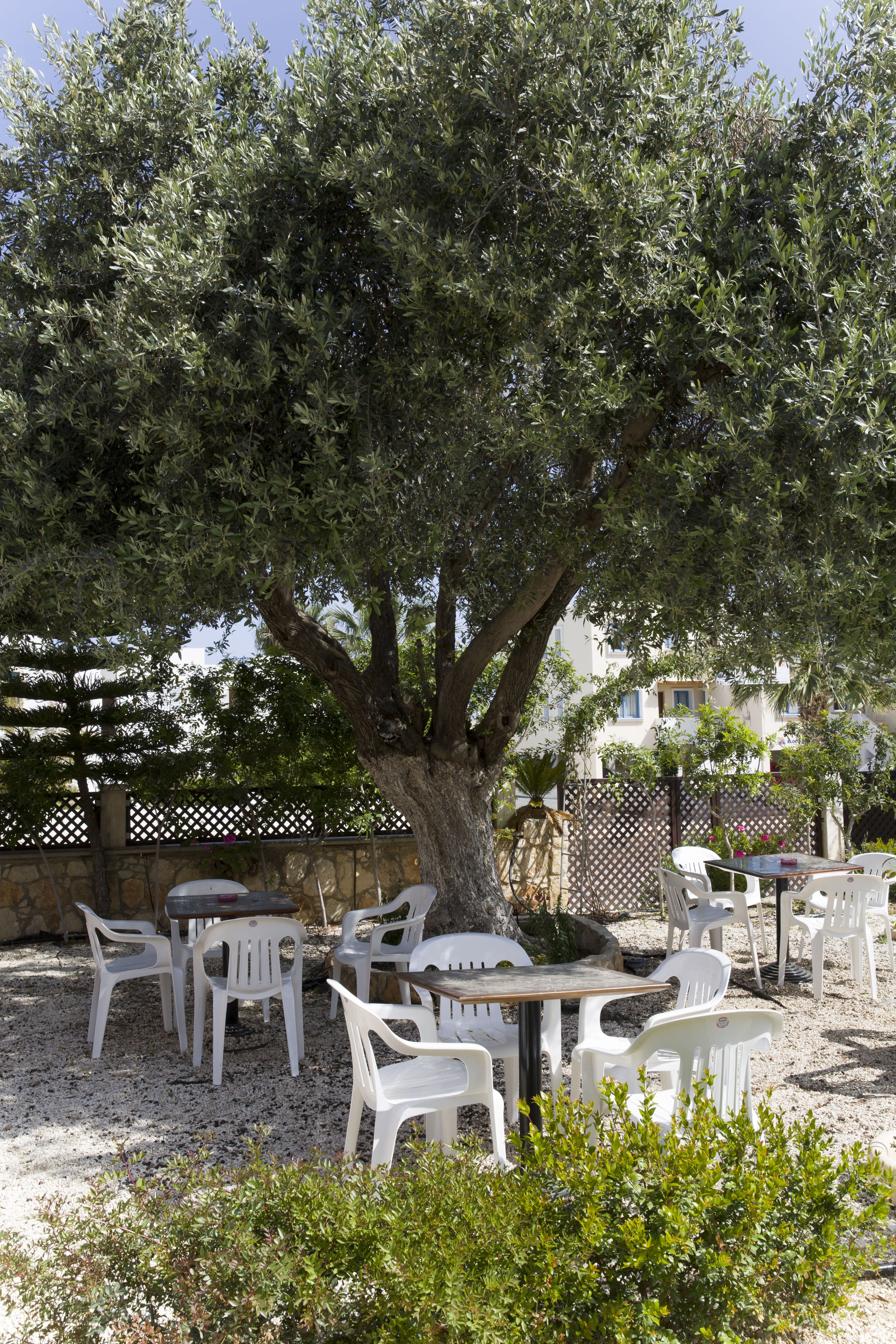 Foto - Eliofos Elegant Maisonettes