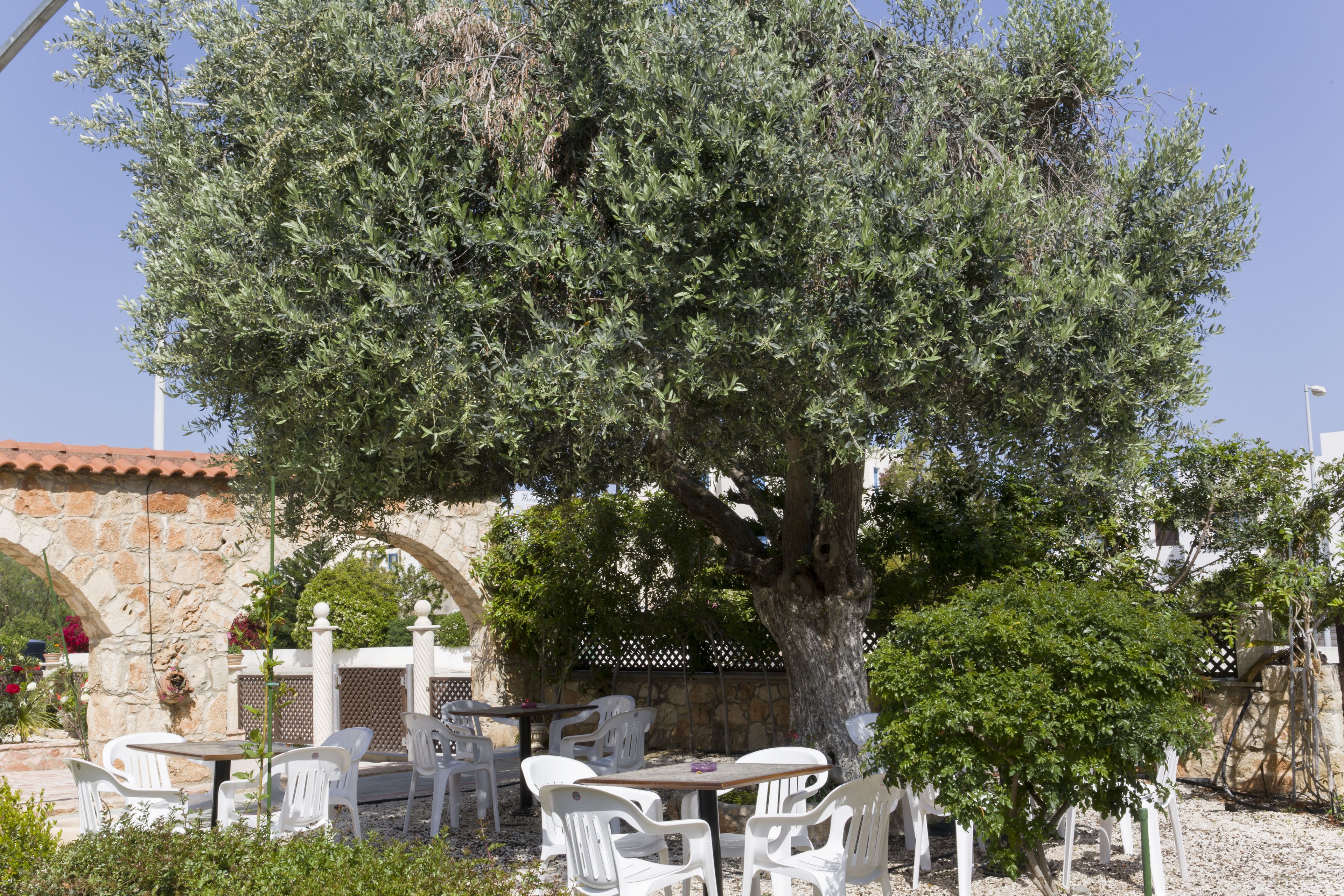 Foto - Eliofos Elegant Maisonettes