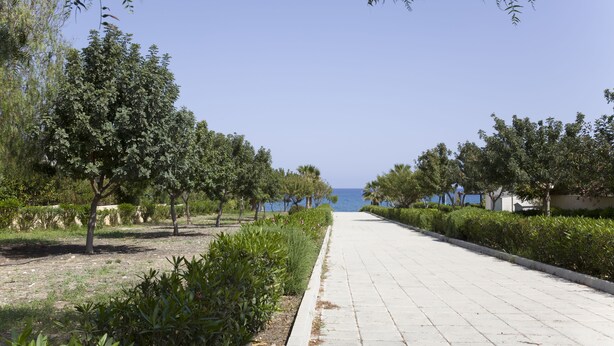 A paved pathway flanked by trees and shrubs, leading towards a body of water. - Eliofos Elegant Maisonettes (Polis)