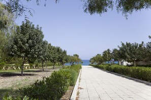 Playa en los alrededores 