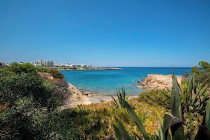 A coastal landscape with clear blue sea, rocky shoreline, and dense vegetation.