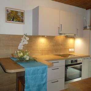Fridge, oven, dishwasher, coffee/tea maker - Apartment Himmelschlüssel for 1-2 persons - Apartments Ferienwohnungen PFAUSLER (Oetz)