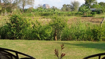Vườn