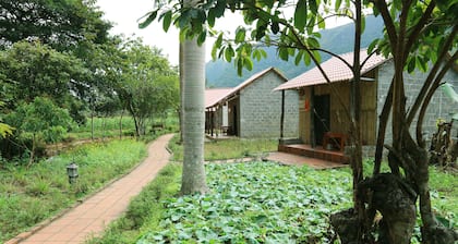Long Phuong Homestay