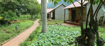 Long Phuong Homestay