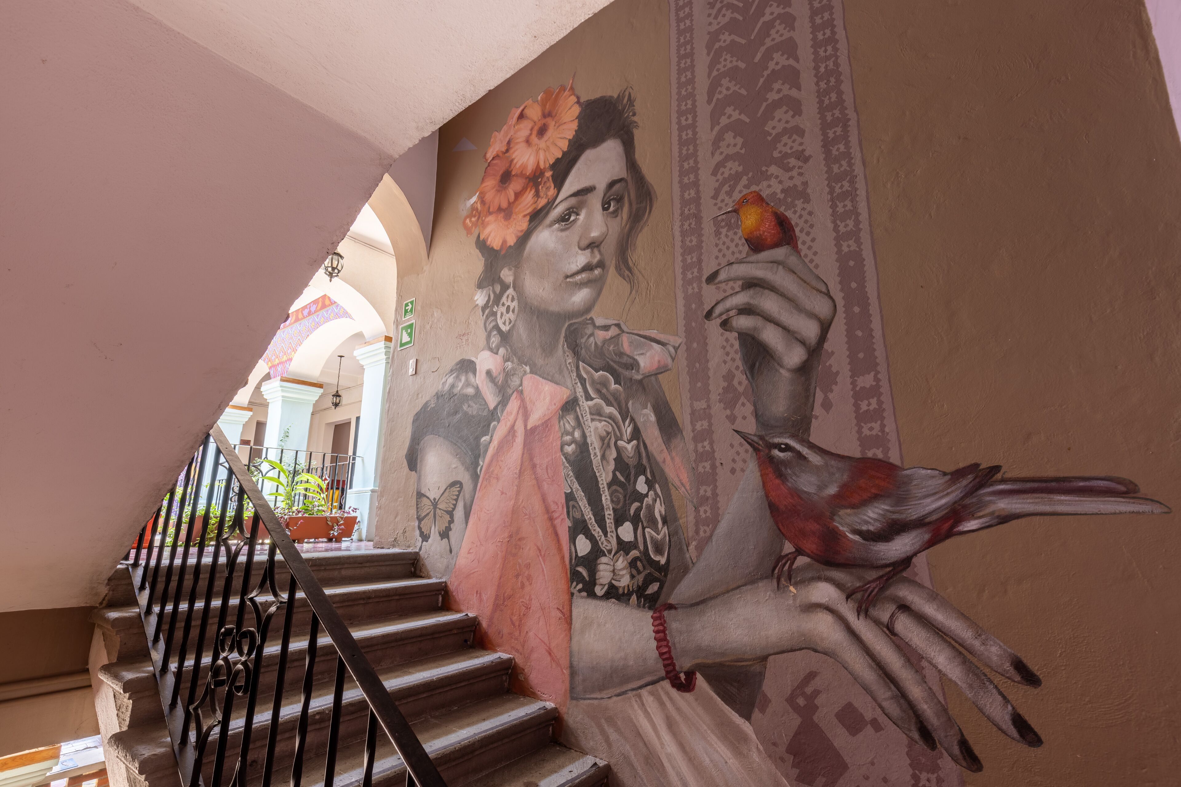 Photo - Selina Oaxaca