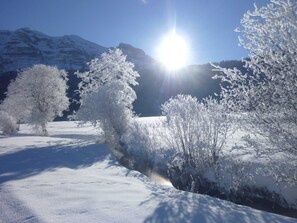 Nicht klassifiziertes Bild, 4 von 39, Schaltfläche