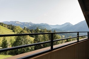 Blick vom Balkon mit Metallgeländer auf eine Berglandschaft mit Bäumen und sanften Hügeln in der Ferne.