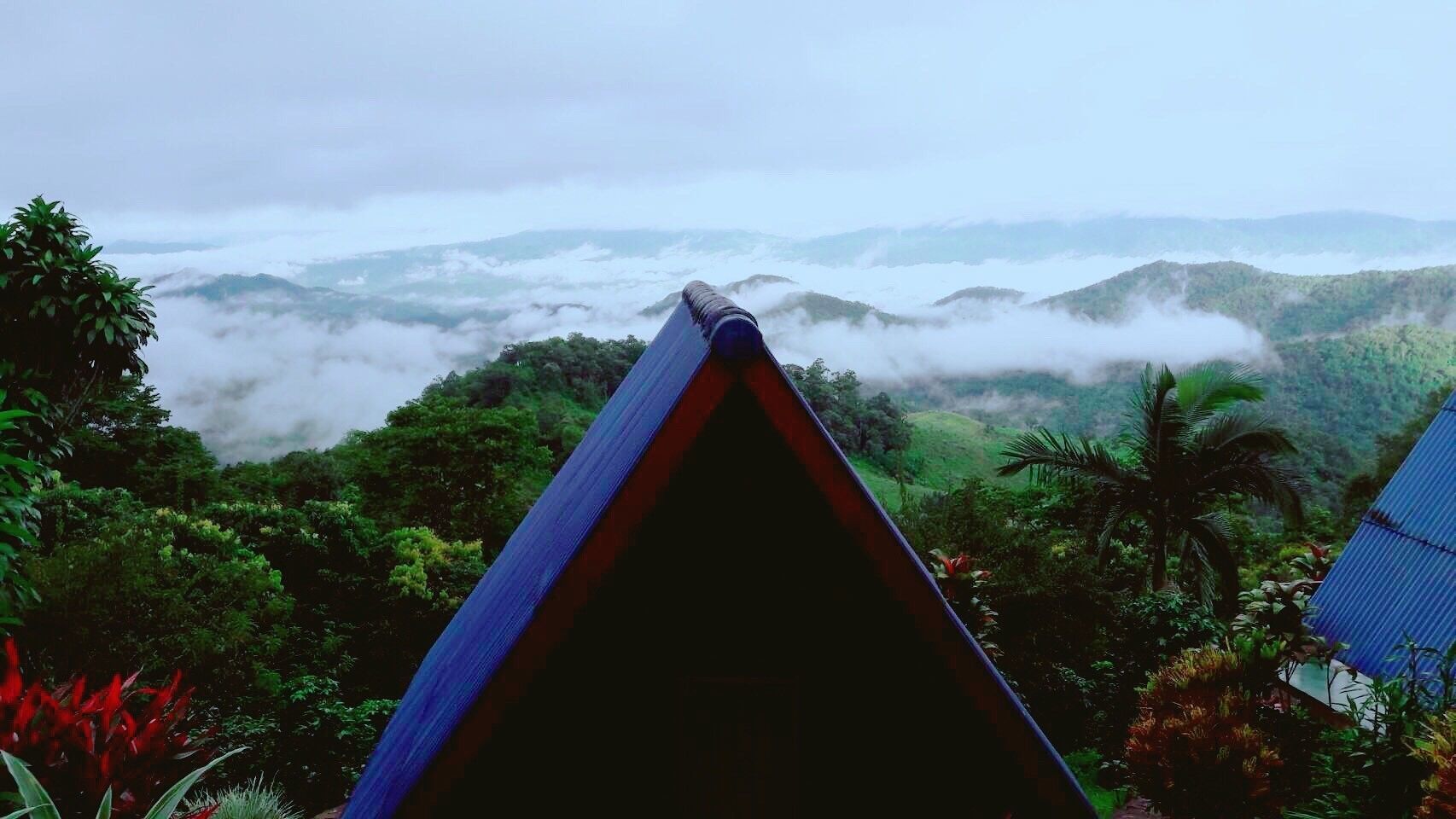 Una vista dall'alto su un paesaggio rigoglioso con una fitta foresta e una catena montuosa in lontananza.