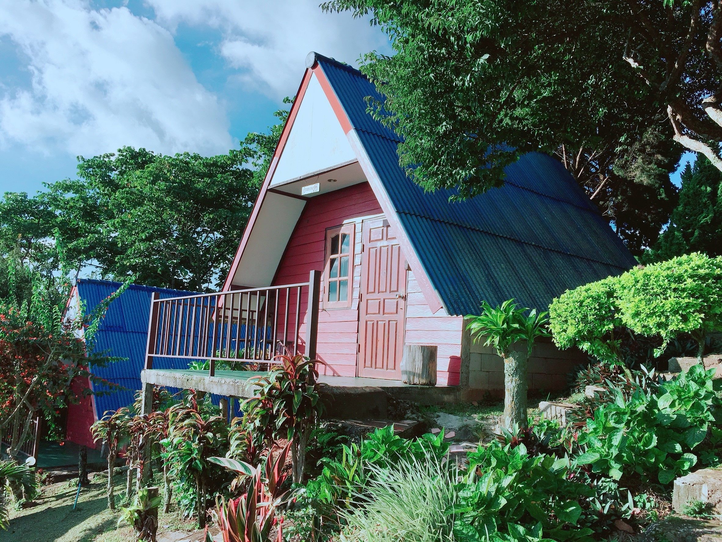 Une petite maison colorée, avec une porte rouge et un toit bleu, entourée d’une végétation luxuriante.