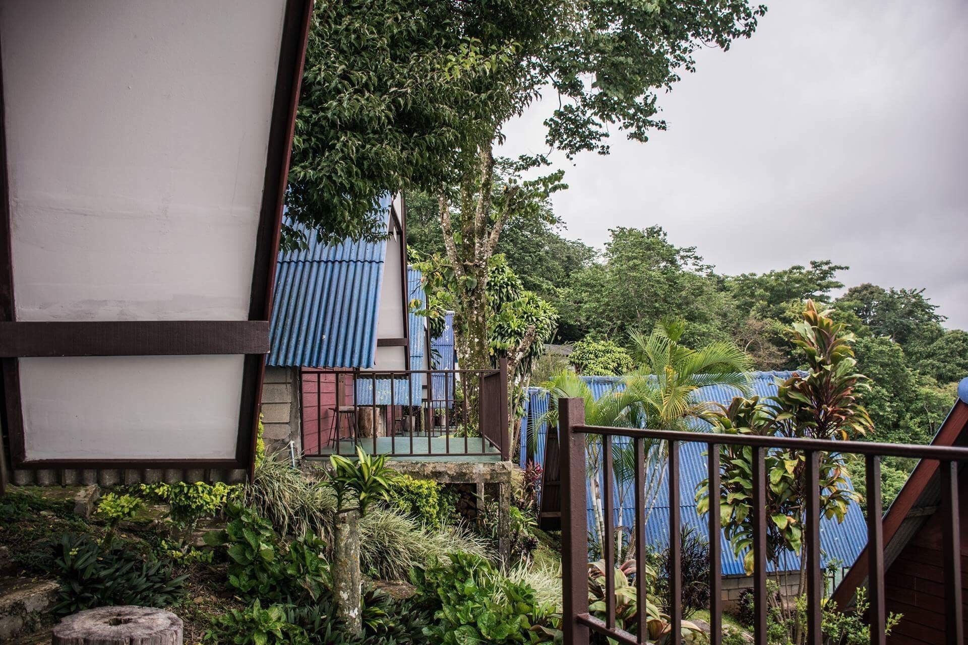 Zona residencial con una casa que tiene balcón, rodeada de abundante vegetación y árboles.