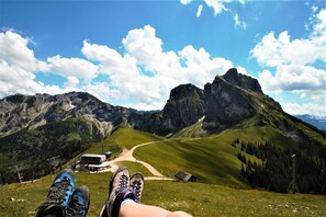 Unclassified image, 5 of 48, button