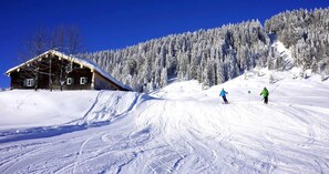 Unclassified image, 2 of 24, button