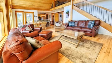 Télévision, cheminée, jeux vidéo, lecteur de DVD