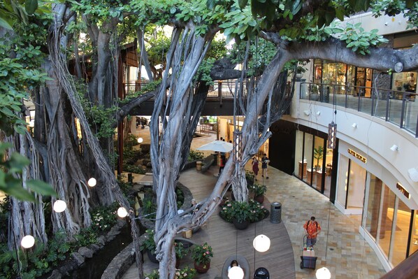 Property grounds - A Jewel above the Marina - Sleeps 4 w/ Full Kitchen (Honolulu)