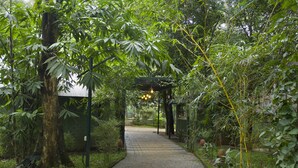 Un sentier qui traverse un jardin luxuriant, agrémenté d’une pergola et de guirlandes lumineuses.