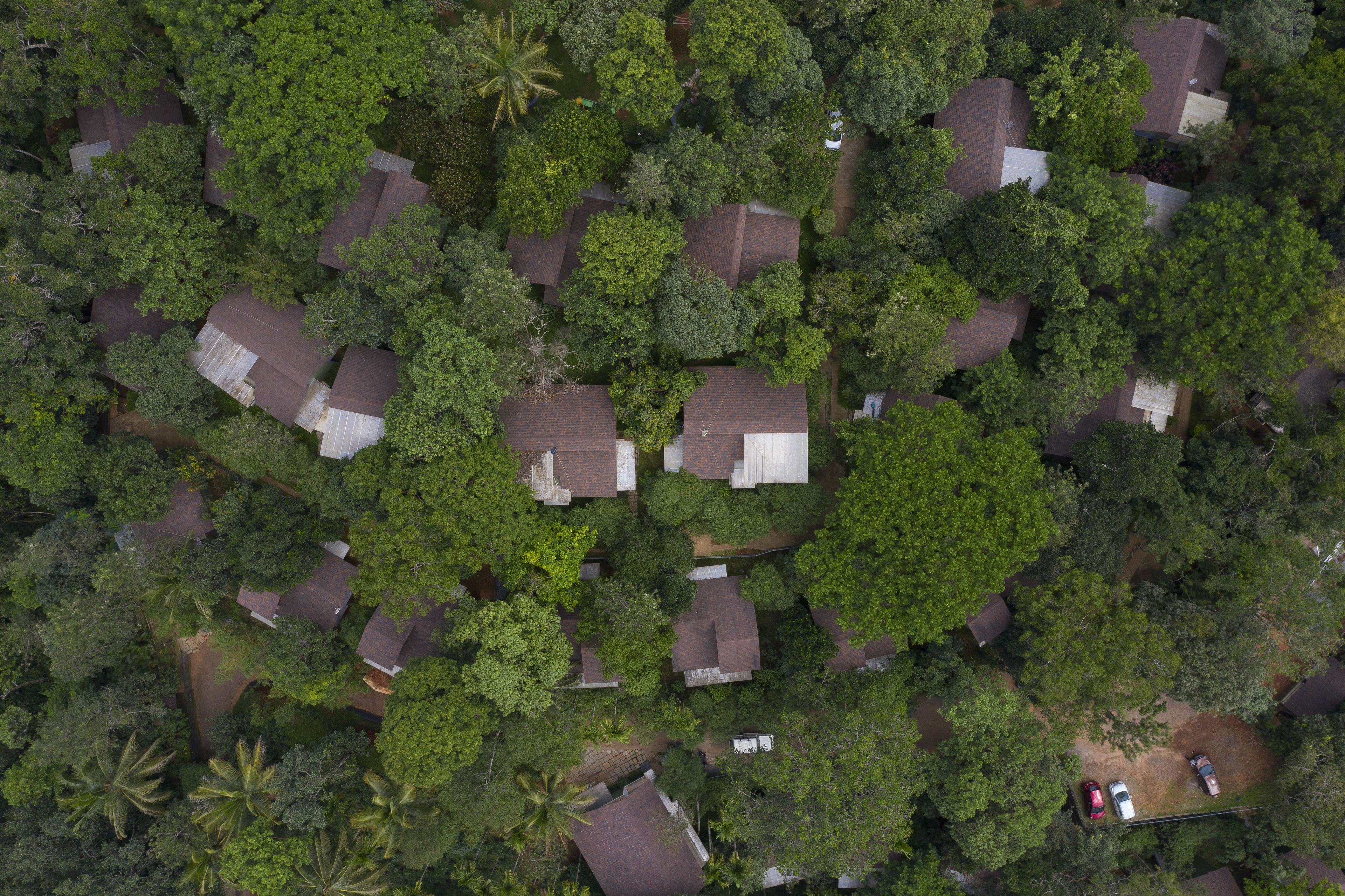 Vista aérea de una zona residencial con casas rodeadas de abundante vegetación.