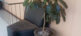 Spoon Zoom Malazi Hotel