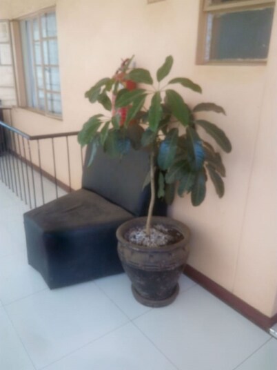 Spoon Zoom Malazi Hotel
