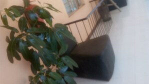Ein Korridor mit Blumentöpfen, einer Treppe und einem Geländer.
