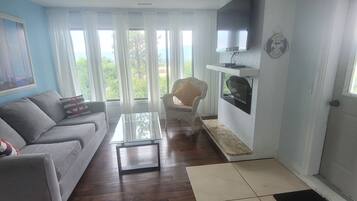 TV connectée, cheminée, livres, chaîne hi-fi