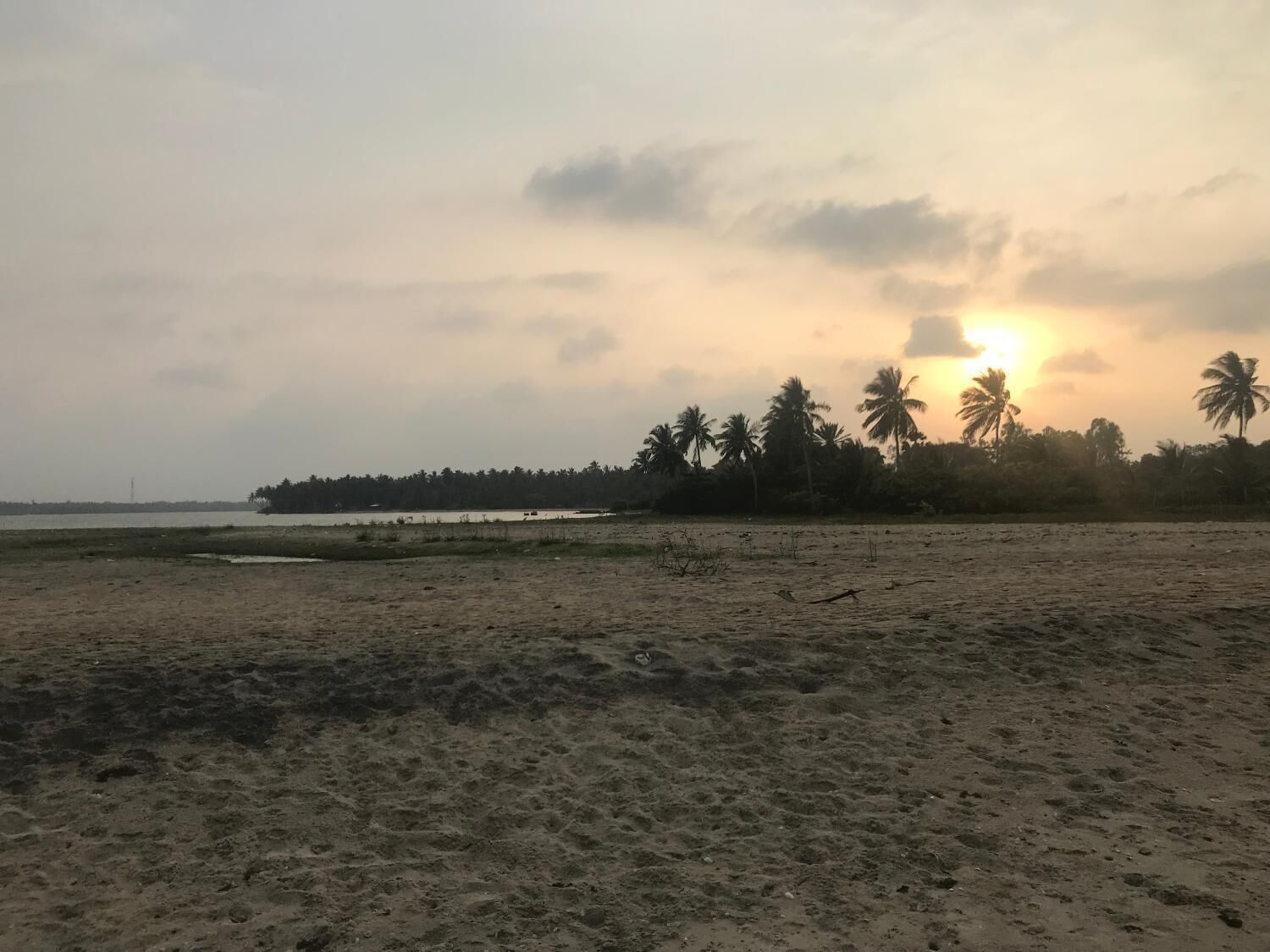 A beach with sand, palm trees, and a sunset.