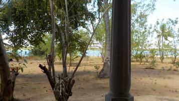 A sandy area with trees and a metal pole.
